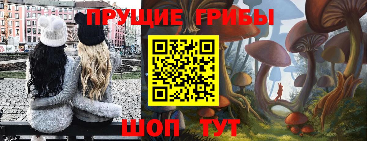 Псилоцибиновые грибы MAGIC MUSHROOMS  Вход с VPN  Галлюциногенные грибы Magic Shrooms  Морозовск 
